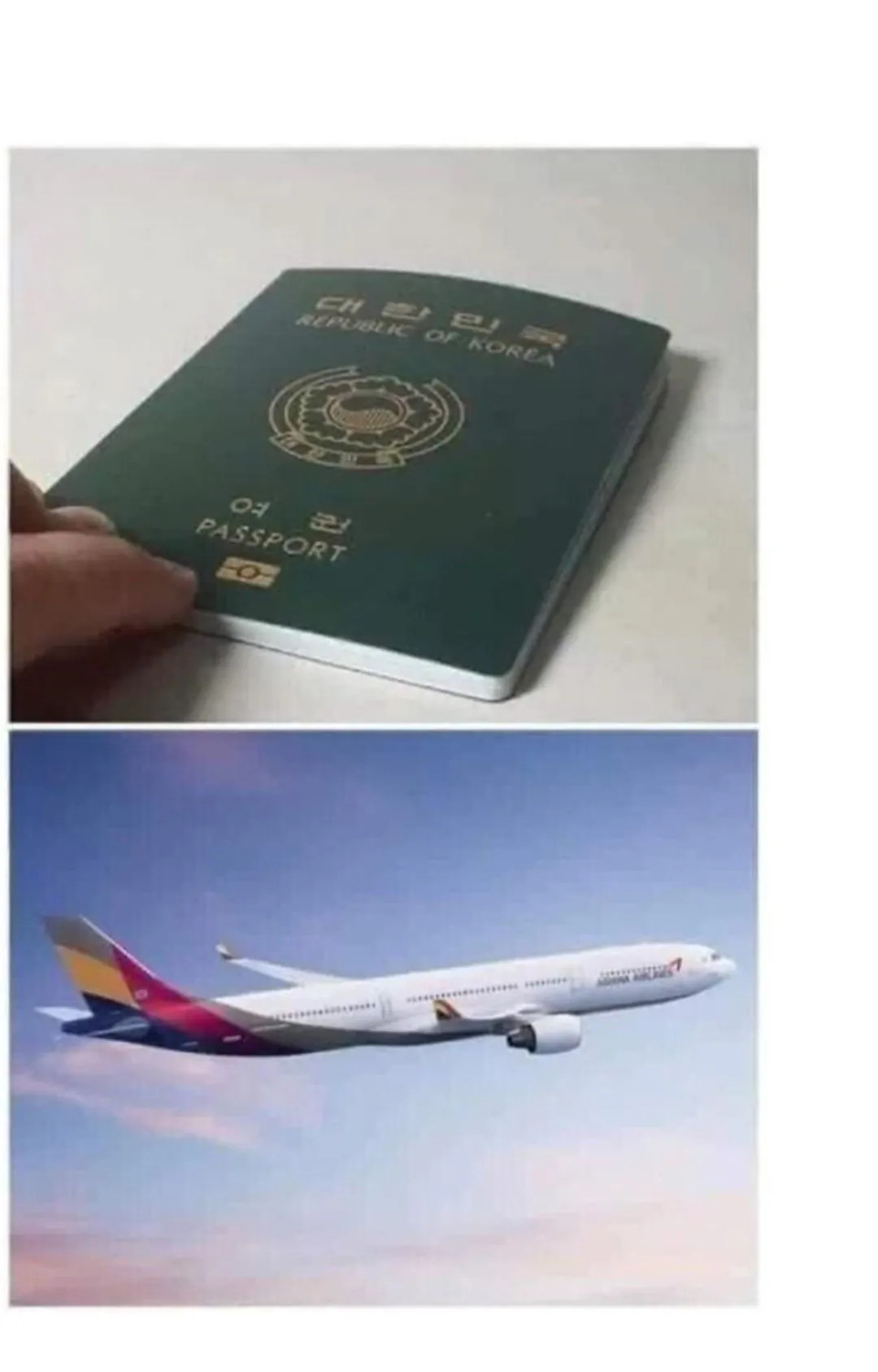 1778612996_11.jpg