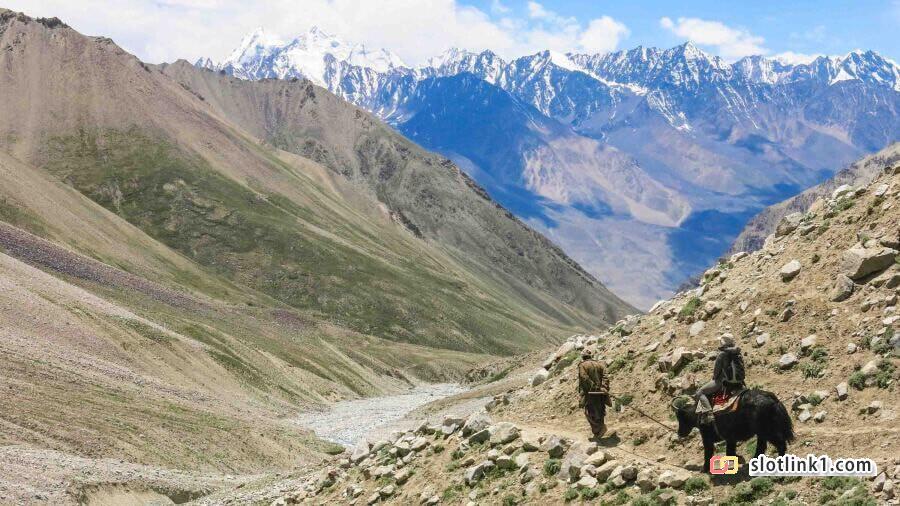 1787157890_4.jpg