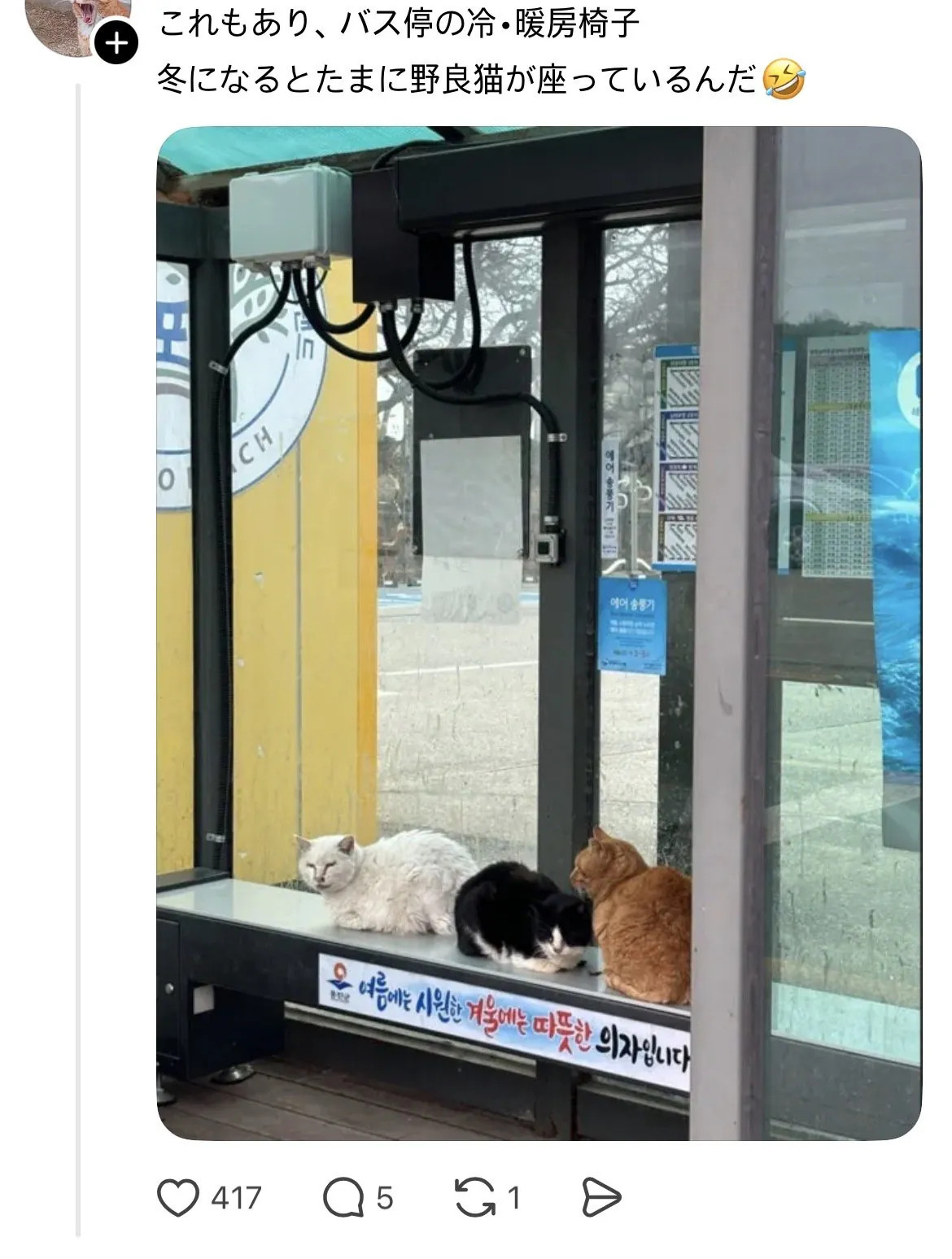 1779882811_1.jpg