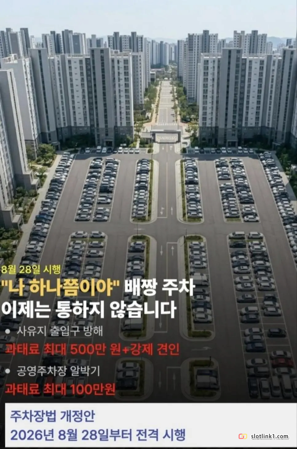 1781034357_2.png