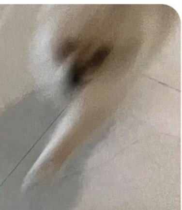 1782125697_1.jpg