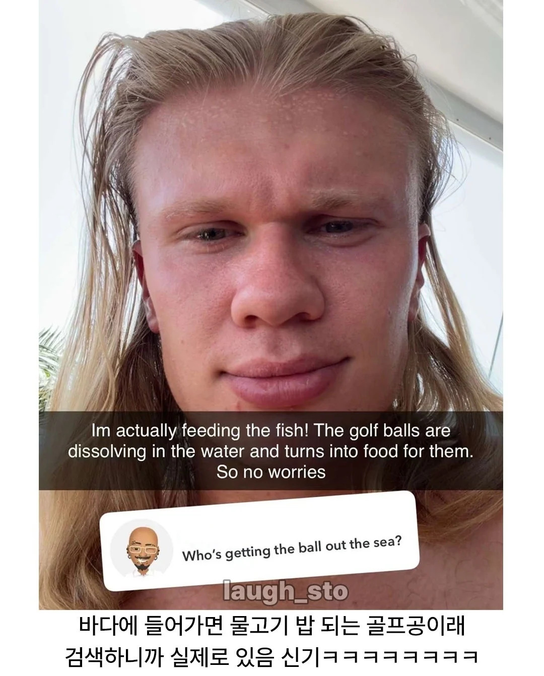 1785399593_1.jpg