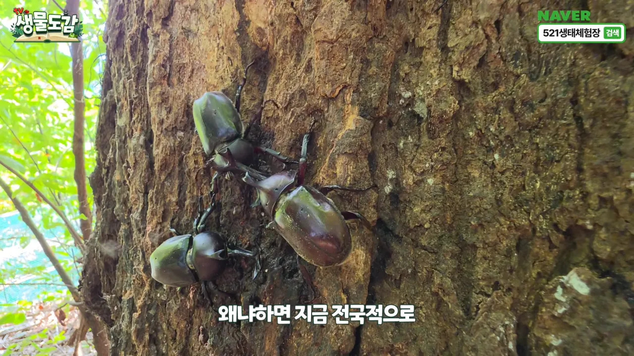 1786072310_19.jpg