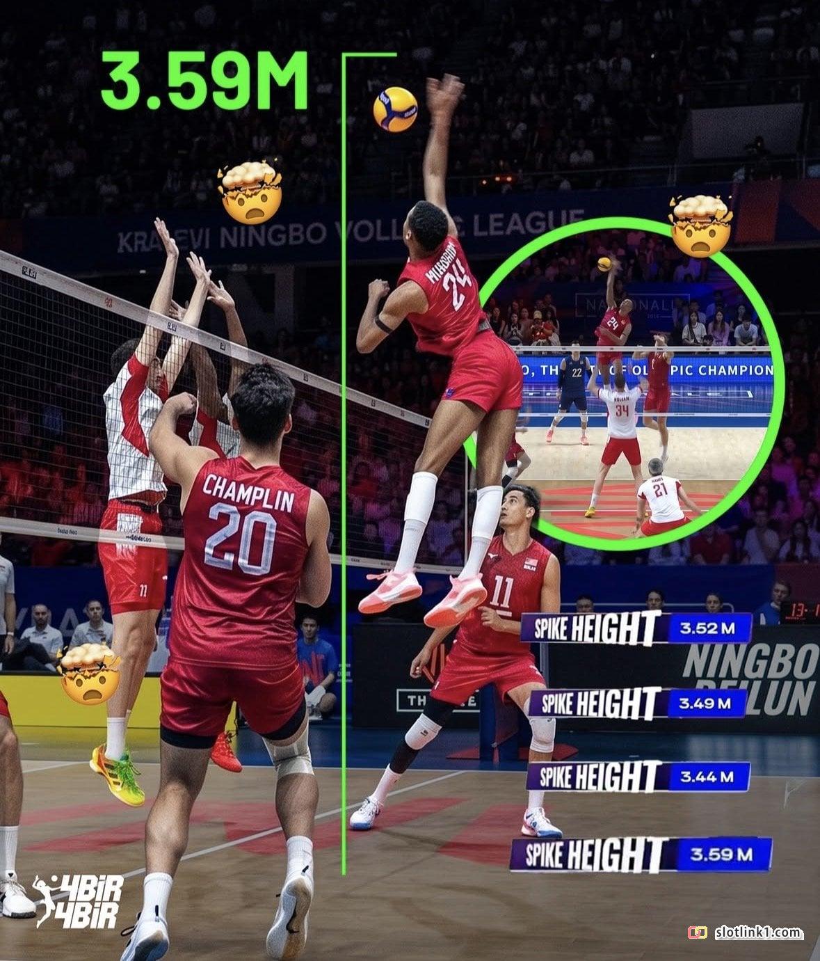 1786526712_4.jpg