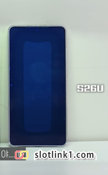 1787202797_1.png