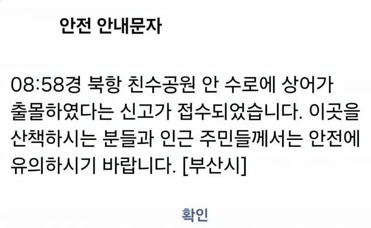 1789730721_1.jpg